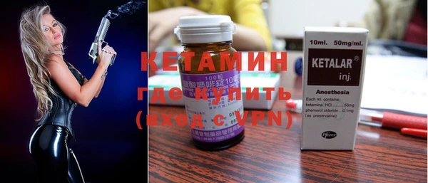 индика Богородицк