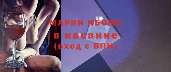 индика Богородицк