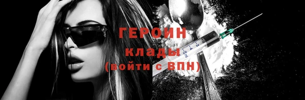 индика Богородицк