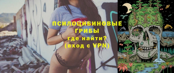 экстази Богородск