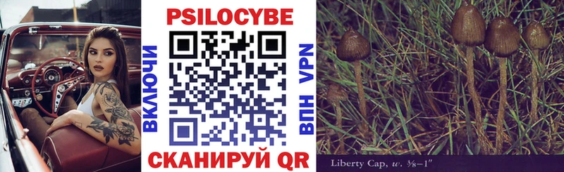 дарк нет официальный сайт  Беслан  МЕГА ТОР  Галлюциногенные грибы MAGIC MUSHROOMS  хочу наркоту 